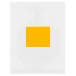 JAM Paper Shipping Labels, Large, 3 1/3 x 4, Neon Orange, 6 Labels/Sheet, 20 Sheets/Pack (354328043)