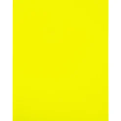 JAM Paper Shipping Labels, 8 1/2