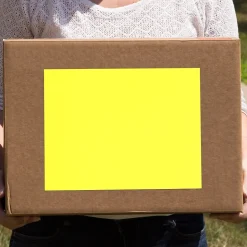 JAM Paper Shipping Labels, 8 1/2