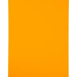 JAM Paper Shipping Labels, 8 1/2