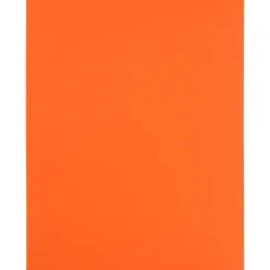 JAM Paper Shipping Labels, 8-1/2