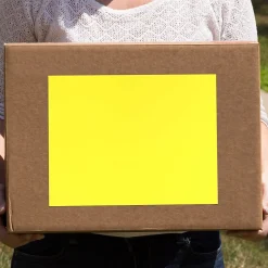 JAM Paper Shipping Labels, 8 1/2