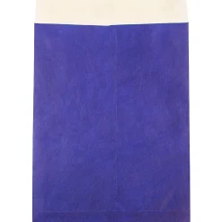JAM Paper Tear-Proof Tyvek Open End Catalog Envelopes, with Peel & Seal Closure, 10 x 13, Blue, 25/Pack (V021377)