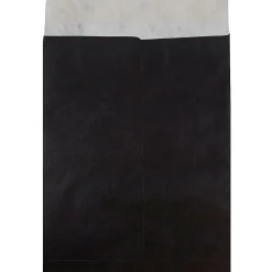 JAM Paper Tyvek Open End Open End Catalog Envelope, 11 1/2" x 14 1/2", Black, 10/Pack (V021386B)