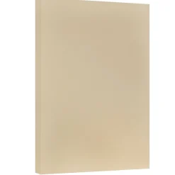 JAM Paper Vellum Bristol Cardstock Paper, 67 lbs., 11" x 17", Tan, 50 Sheets/Pack (16932840)