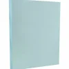 JAM PAPER Vellum Bristol Cardstock, 67lb, 100/pack (169820G)