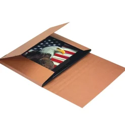 Jumbo Mailers, 28" x 22" x 6", Kraft, 20/Bundle (M28226)