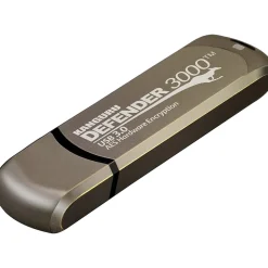 Kanguru Defender 3000 512GB USB 3.2 Flash Drive, Gold (KDF3000-512G)