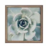 Kate & Laurel F2 Images Succulent 7 Cork Bulletin Board, Gold Frame, 1' x 1' (222048)