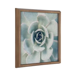 Kate & Laurel F2 Images Succulent 7 Cork Bulletin Board, Gold Frame, 1' x 1' (222048)