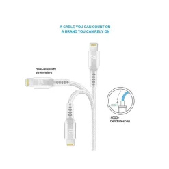 LAX Gadgets Lightning to USB Cable for iPhone/iPad/iPod touch, Silver (LX-4SL)
