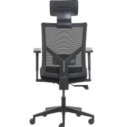 La-Z-Boy Ergonomic Mesh Swivel Task Chair, Black (60021)