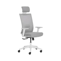 La-Z-Boy Joel Ergonomic Mesh Swivel Executive Chair, Gray/White (60065)