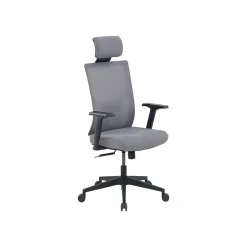 La-Z-Boy Mesh Back Molded Foam Computer and Desk Chair, Gray (51448)