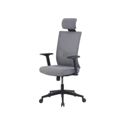La-Z-Boy Mesh Back Molded Foam Computer and Desk Chair, Gray (51448)