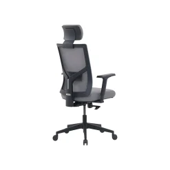 La-Z-Boy Mesh Back Molded Foam Computer and Desk Chair, Gray (51448)