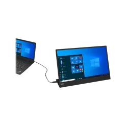 Lenovo ThinkVision M15 15
