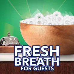 LIFE SAVERS Wint-O-Green Individually Wrapped Breath Mints, 2.5 lb. Stand-up Bag (LEFEWINT6)