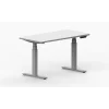 LifeFlo Ergonomics Height Adjustable Desk, 48" W x 24" D x 1 1/8" Thick, White (LFO-4824-E2-WH)