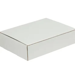 Literature Mailers, 12" x 9" x 2", White, 50/Bundle (ML1292R)