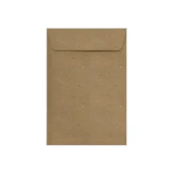 LUX 6 .5" x 9.5" Open End Envelopes 50/Pack, Grocery Bag Brown,50/Pack(LUX-1645-GB-50)