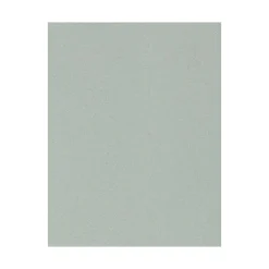 LUX 100 lb. Cardstock Paper, 13" x 19", Slate, 250 Sheets/Pack (1319-C-79-250)