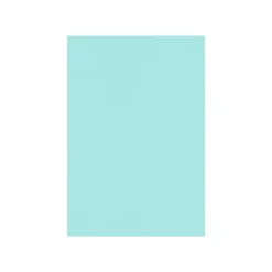 LUX 100 lb. Cardstock Paper, 13" x 19", Sea, 250 Sheets/Pack (1319-C-113-250)