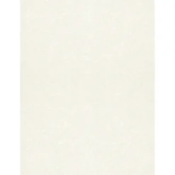 LUX 105 lb. Cardstock Paper, 11" x 17", Quartz Metallic, 500 Sheets/Ream (1117-C-M08-500)