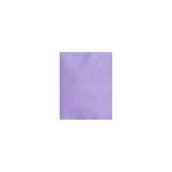 LUX 105 lb. Cardstock Paper, 11" x 17", Amethyst Metallic, 500 Sheets/Pack (1117-C-M04-500)