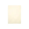 LUX 105 lb. Cardstock Paper, 8.5" x 11", Champagne Metallic, 250 Sheets/Pack (81211-C-M08-250)
