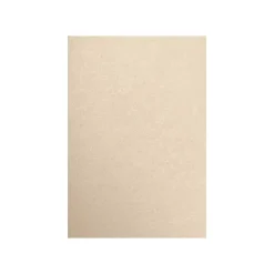 LUX 105 lb. Cardstock Paper, 13" x 19", Taupe Metallic, 500 Sheets/Pack (1319-C-M09-500)