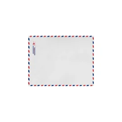 LUX 6 x 9 Kraft Open End Envelopes (6 x 9) - Airmail - Pack of 50 (2444794)
