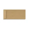 LUX 70lb 4 1/8"x9 1/2" Open End #10 Envelopes, Grocery Bag Brown, 250/BX