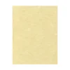 LUX Parchment 65 lb. Cardstock Paper, 8.5" x 11", Gold Parchment, 1000 Sheets/Pack (81211-C-41-1000)