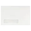 LUX Self Seal Window Envelope, 6" x 9", Bright White, 500/Pack (22646-500)