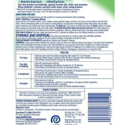 Lysol Multi-Purpose Cleaner Plus Bleach, Chlorine Scent, 32 oz. (1920078914)