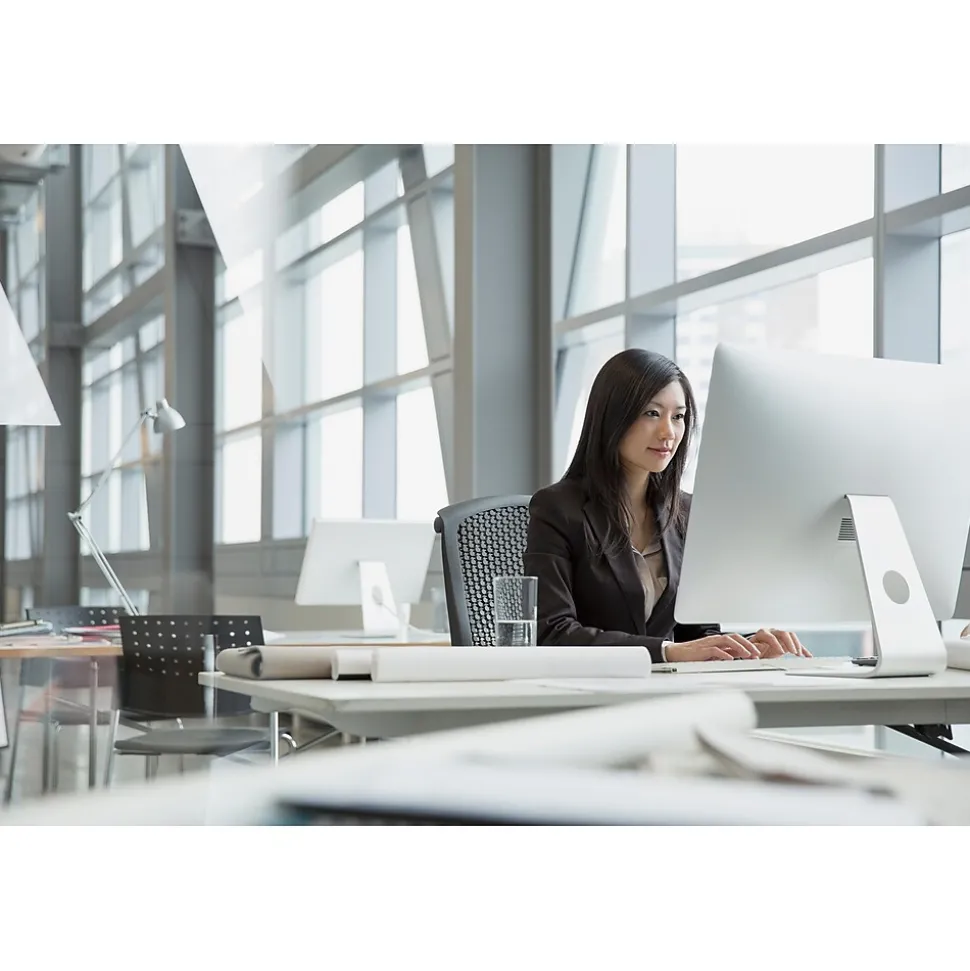 3M Anti-Glare Filter for 19" Standard Monitor, 5:4 Aspect Ratio (AG190C4B)