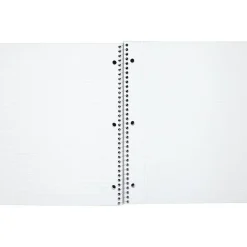 Mead 1-Subject Notebooks, 8" x 11", College Ruled, 100 Sheets, Each (6622)