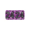 Medical Arts Press Holographic End-Tab Year Labels, 2024, Violet, 500/Roll (0724HV)