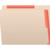 Medical Arts Press Reinforced Top Tab File Folder, Full-Cut, Letter Size, Manila/Orange, 50/Box (S-09468-ORG)
