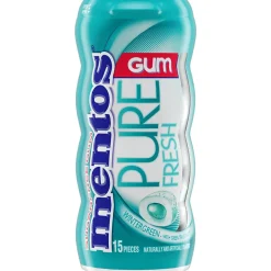 Mentos Pure Fresh Sugar Free Gum, Wintergreen, 10/Box (VAM1463621)