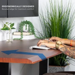 Mount-It! Dual Motor 60