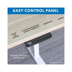 Mount-It! Ultimate 55