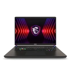 MSI Vector 17 HX 17" QHD+ 240Hz Gaming Laptop, Intel Core i9-14900HX, RTX 4080, 32GB RAM, 1TB SSD, Win 11 Pro (A14VHG-649US)