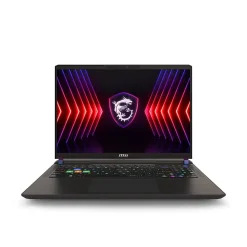 MSI Vector 16 HX 16" QHD+ 240Hz Gaming Laptop, Intel Core i9-14900HX, RTX 4070, 32GB RAM, 1TB SSD, Win 11 Pro (VECTOR16HX14254)