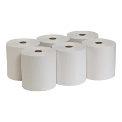 Pacific Blue Basic Recycled Hardwound Paper Towels, 1-ply, 800 ft./Roll, 6 Rolls/Carton (26601)
