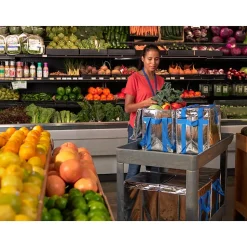 PACKiT Fresh Eco Freeze Tote, Large, Silver/Blue, 4/Carton (PKF-UD-MAG)