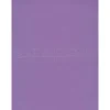 Pacon Sunworks 9" x 12" Construction Paper, Violet, 50 Sheets/Pack, 5/Pack (68831-PK5)