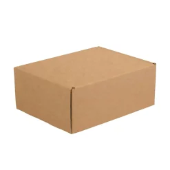 Partners Brand Deluxe Literature Mailers, 11 1/8