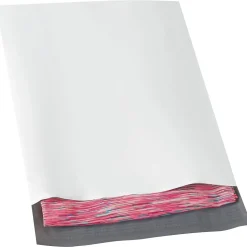 Partners Brand Peel & Seal Expansion Poly Mailer, 10